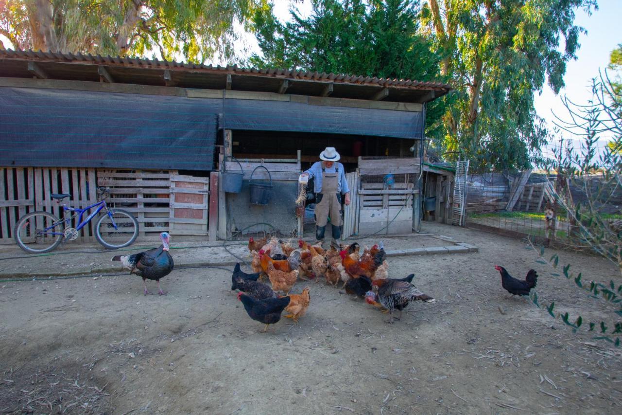 Loukas Farm House Áyios Kírikos Exterior foto